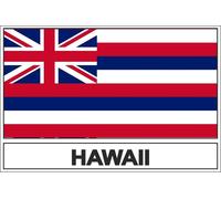 Autocollant Sticker Drapeau Usa Hawaii