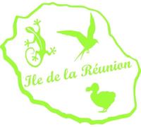 Autocollant Sticker Ile de la Reunion, Stickers Carte Reunion 974, Vinyle haute performance pour Voiture, Autocollants Margouillat, Dodo, Paille En Queue (vert lime, 15 x 13 cm)