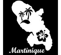 Autocollant Sticker Martinique, Stickers Carte Martinique 972, Vinyle haute performance pour Voiture, Autocollants Palmier, Fleur Hibiscus, Soleil (12 x 15 cm, blanc polaire)
