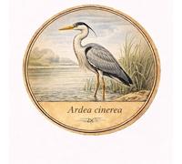 Autocollant sticker oiseau Héron cendré Ardea cinerea