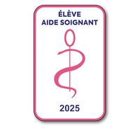 Autocollant Sticker - Vignette Caducée 2025 pour Pare Brise en Vitrophanie - V6 Élève Aide Soignant