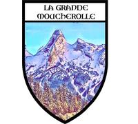 Autocollant Sticker Vinyl Blason Souvenir La Moucherolle Villard De Lans Vercors