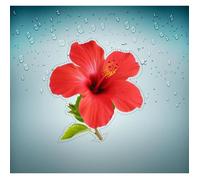 Autocollant sticker voiture hibiscus arbre fleur