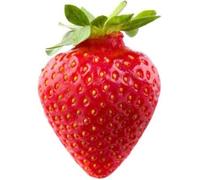 Autocollant sticker voiture moto deco fruit fraise