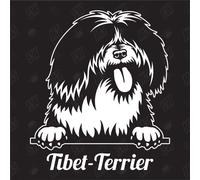 Autocollant Tibet Terrier Version 1 - Terrier tibétain - Pour voiture, races de chien, mongrele, mélange d'animaux, animaux