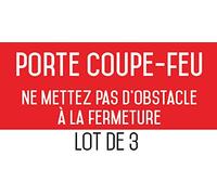 Autocollant vinyl - Porte coupe-feu ne mettez pas d'obstacle à la fermeture - L.200 x H.100 mm - 3