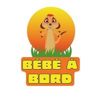 Autocollant voiture bébé à bord, personnage dessin animé,vinyle qualité, bébé à bord, 100% Made in France