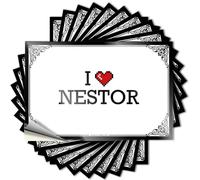 Autocollant western en vinyle pour salle de bain, décoration de cour avant, autocollant rigide imperméable pour bouteille d'eau | I Love Nestor parfait pour la pêche et la décoration d'ordinateur