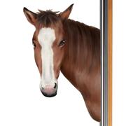 Autocollants amusants pour fenêtre - Stickers muraux avec cheval - autocollants muraux amovibles avec scène de fenêtre simulée, pour fenêtre avec thème animal réaliste de la ferme,