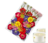 Autocollants Botaniques Pressés - Ensemble De Fleurs Naturelles, Étiquettes D'Artisanat Vintage | Élégant Paquet De Floraison Séchée Pour Les Cheveux, Cas De Téléphone, Fabrication De Cartes Fait À La