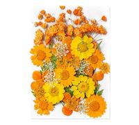 Autocollants botaniques pressés : ensemble de fleurs naturelles, étiquettes de fabrication vintage | élégant paquet de fleurs sèches pour cheveux, art des ongles, étui pour téléphone, tarif fait à