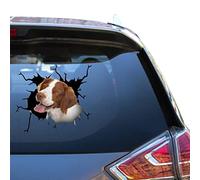 Autocollants Brittany Spaniel 3D pour parents Motif épagneul breton