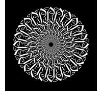 Autocollants calligraphiques arabes avec lettres de l'alphabet avec cercles 67,2 x 67,2 cm Ne pas endommager la surface murale Blanc