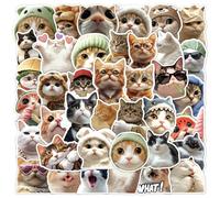 Autocollants de Chat Mème | Stickers Chatons Drôles - 50 Stickers pour Bouteilles Valise Carnet Guitare Ordinateur Décalcomanies Déco Esthétique Scrapbook