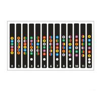 Autocollants de couleur améliorée pour touche de guitare pour améliorer la compréhension des échelles et des structures d'accords (noir)