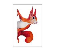 Autocollants de fenêtre adhésifs pour la protection contre les fissures des oiseaux écureuils Voyeur Stickers Décoration PVC