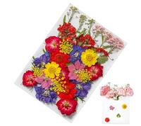 Autocollants de fleurs pressées - 35 pièces décoratives de petites fleurs séchées, autocollants en vinyle floraux | Autocollants esthétiques réels et naturels, fournitures de scrapbooking art fleur