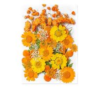 Autocollants de fleurs pressées - 35 pièces décoratives de petites fleurs séchées, autocollants en vinyle floraux | Autocollants esthétiques réels et naturels, fournitures de scrapbooking art fleur