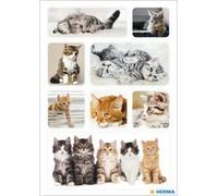 Autocollants DECOR 'Chatons'