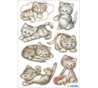 Autocollants DECOR 'Drôle de chaton'
