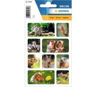 Autocollants DECOR 'Rongeurs'