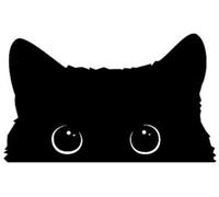 Autocollants Et Décalcomanies De Voiture 25Cm X 15Cm Drôle Autocollant De Voiture Accessoires Pauvre Chat Est Volant Avec De Grands Yeux Montre Vinyle Car Styling Couverture Étanche Pvc. (2Pcs)