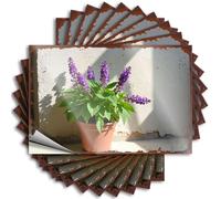 Autocollants et décalcomanies pour casque de sécurité Une plante en pot avec des fleurs violettes est placée contre un mur blanc. Autocollants pour voiture (12 x 18 cm)