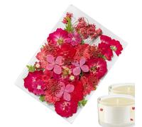 Autocollants fleurs séchées - Véritable design naturel pressé, autocollants botaniques imperméables, flocons de scrapbooking PET transparents, étiquette végétale autocollante décorative pour journal