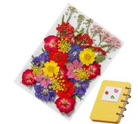 Autocollants fleurs séchées - Véritable design naturel pressé, autocollants botaniques imperméables, flocons de scrapbooking PET transparents, étiquette végétale autocollante décorative pour journal