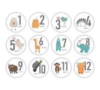 Autocollants Jalons Bébé, 12PCS Autocollants Mois Bébé Nouveau-né Garçon Fille Grossesse Attendant Accessoires Photo Autocollants Commémoratifs Cadeau Bébé, Suivre La Première Année de Bébé,10cmx10cm