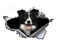 Autocollants Muraux 3D 13X10CM drôle chien de compagnie décalcomanie BORDER COLLIE 3D déchiré voiture autocollant Design original coffre de voiture pare-chocs décoration personnalisé vinyle Deca
