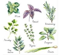 Autocollants muraux à décoller et à coller, autocollants muraux à motif d'herbes aromatiques, décoration murale pour cuisine, armoires de cuisine, autocollants de cuisine à décoller et à coller,