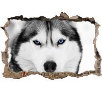 Autocollants muraux,Effet 3D avec mur de briques en trompe-l’œil,Husky aux yeux bleus,Décoration murale de chambre d'enfant 53x80cm