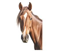 Autocollants muraux en forme de cheval réalistes, autocollants muraux multi-usages, autocollants muraux d'animaux de la ferme, décalcomanies de porte de chevaux, décoration de chambre sur le thème des
