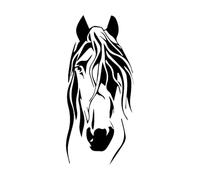 Autocollants muraux en vinyle pour cheval, décoration de bureau, salon, fenêtre, maison, chambre à coucher, raton laveur, chambre d'enfant-S-25x57cm-Black