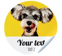 Autocollants photo pour animaux de compagnie. Stickers personnalisés avec deux textes pour les plus drôles de la maison : le chien, le chat, le lapin... Dimensions 45mm / 60mm / 70mm de diamètre.