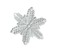 Autocollants polyvalents pour plus de stabilité et une réduction du risque de glissement, installation facile, adaptés pour divers amateurs de ski, planche de skis