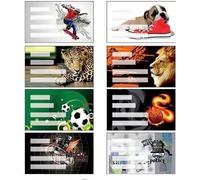 Autocollants pour cahier de garçon 24pcs.