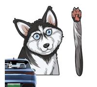 Autocollants pour essuie-glace arrière avec chien, autocollants drôles pour chien, autocollants d'essuie-glace arrière | Imperméable, drôle, beau chien pour téléphone, décoration de bagages, snowboard