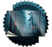 Autocollants pour votre voiture, chemin de forêt brumeuse avec lanternes lumineuses. Autocollants amusants pour maison, bar, fenêtre de voiture (6 x 9 cm)