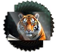 Autocollants pour votre voiture Un tigre majestueux avec fourrure orange frappante et rayures noires audacieuses. Autocollants 10 pièces autocollants amusants pour pare-chocs de bar (8 x 12 cm)