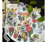 Autocollants Roses De Nuit Plantes, Étiquette Flocons, En Papier, Coréen, Décoratif, Pour Album Journal Intime, Carte, 60 Pièces/Paquet