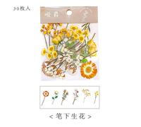 Autocollants Séries Bouquet Romantique, 5 Paquets, Petits Autocollants Transparents Imperméables En Pet Mignons Pour Carnet De Notes Journal