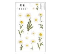 Autocollants Séries Fleurs Marguerite, Iris Eucalyptus Globulus, Scrapbooking, Étiquette Décorative, Pour Album Journal Intime, Diy Bricolage, Papeterie