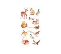 Autocollants transparents - Animaux