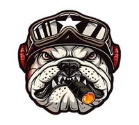 Autocollants vintage pour casque de moto - Lot d'autocollants pour adultes, imperméable et | Graphiques adhésifs haute définition pour vélo, scooter, ordinateur portable, ordinateur portable