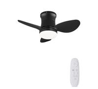 AUTODAY Ventilateur de Plafond 61 cm Petit Silencieux DC avec lumière Noir