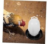 Automatic Drinking Trough for Chickens and Poultry Safe Water Dispenser for Chickens and Poultry Safe Water Dispenser for Clean Environment Farm Nouvel Nouveau