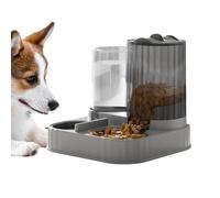 Automatic Pet Feeder - 2 in 1 Feeding Bowl | PP Cat Dog Food Dispenser with Waterer, Large Capacity Indoor Organizer for Puppy Kitten Small Medium Pets, Home Apartment Balcony
