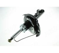AUTOMEGA 110012410 Amortisseur pour FORD